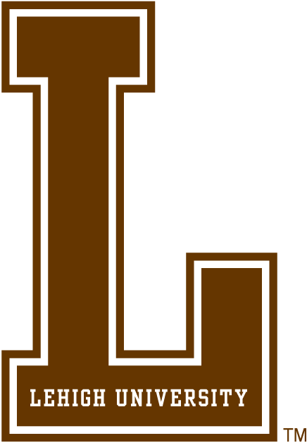 Lehigh Mountain Hawks 0-Pres Alternate Logo v2 diy DTF decal sticker